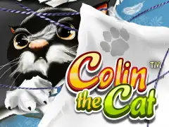 ColinTheCat_icon_960x720.jpg